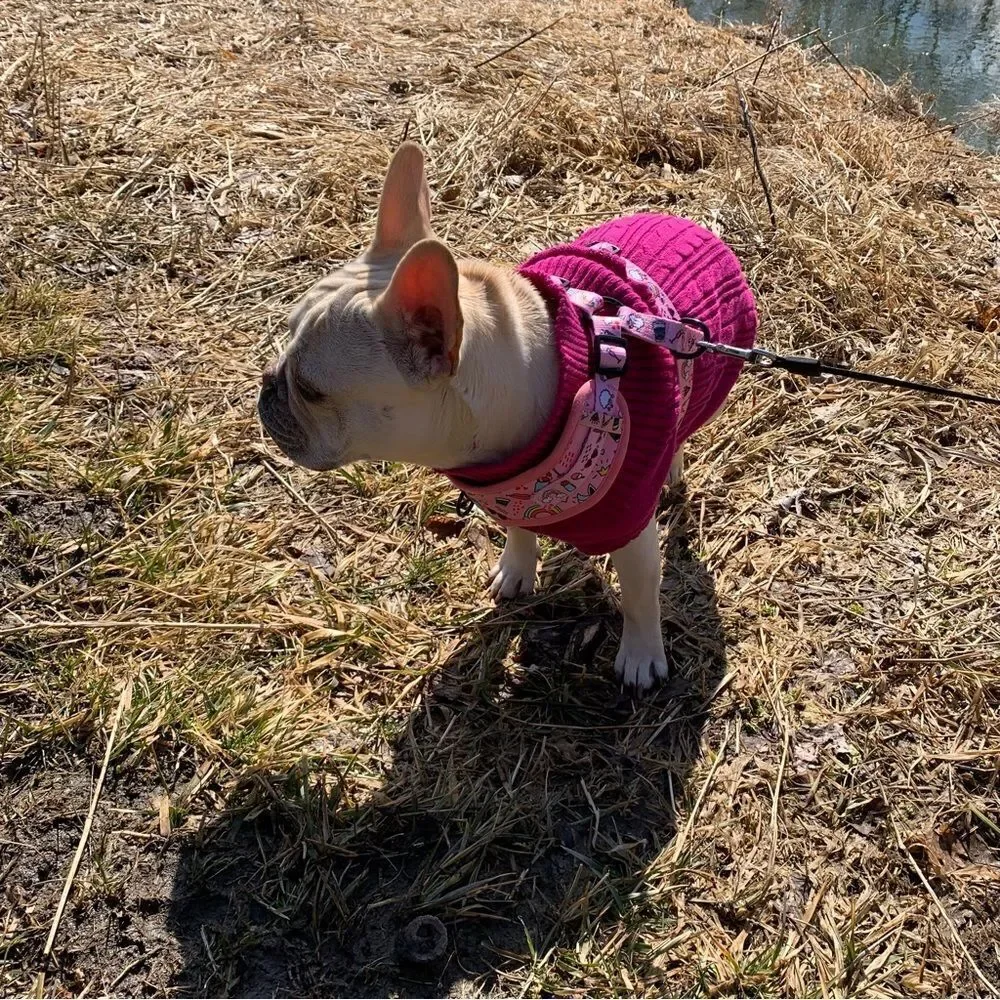 Dog and Cat Cableknit Sweater - Berry - Size Medium‎